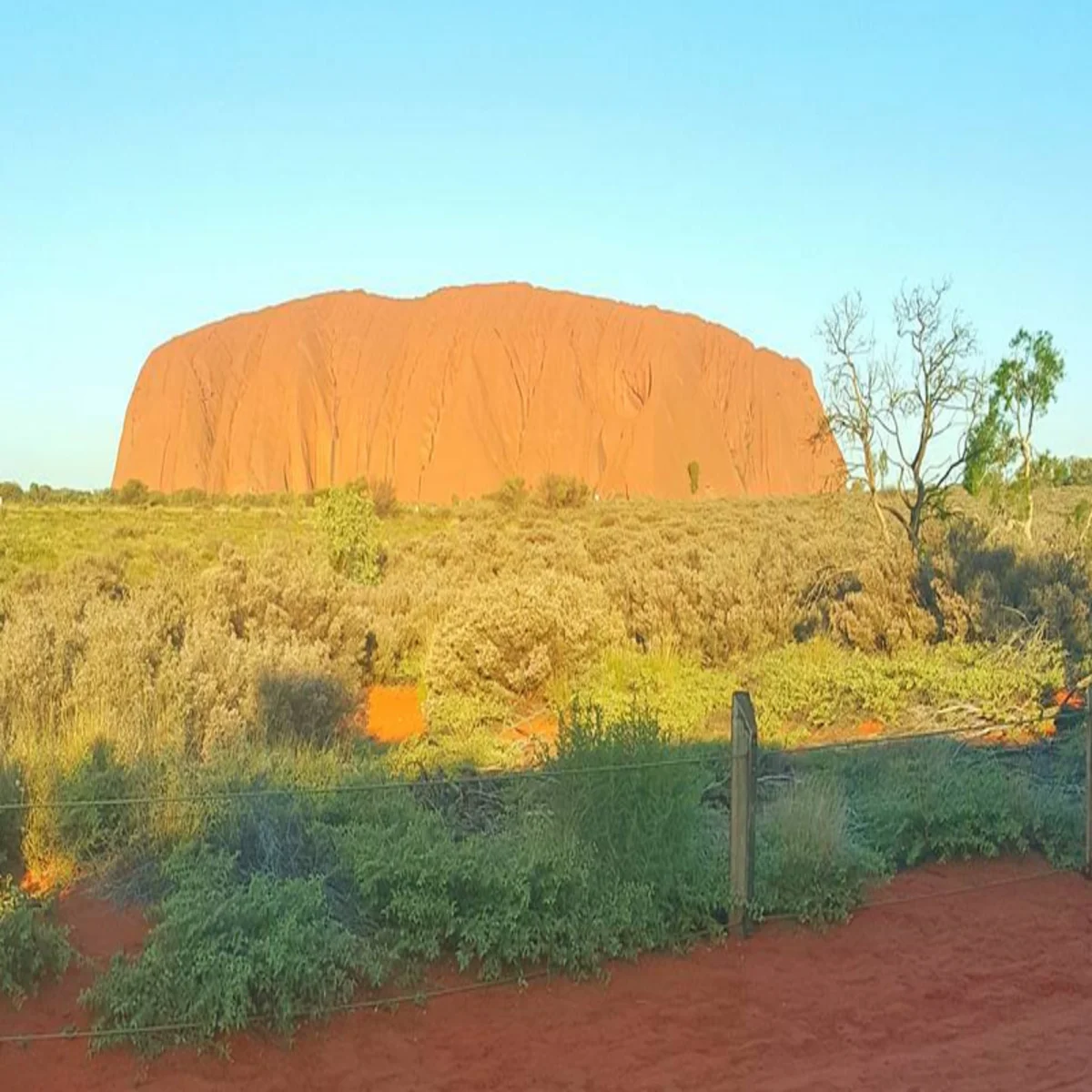 Alice Springs to Uluru tour