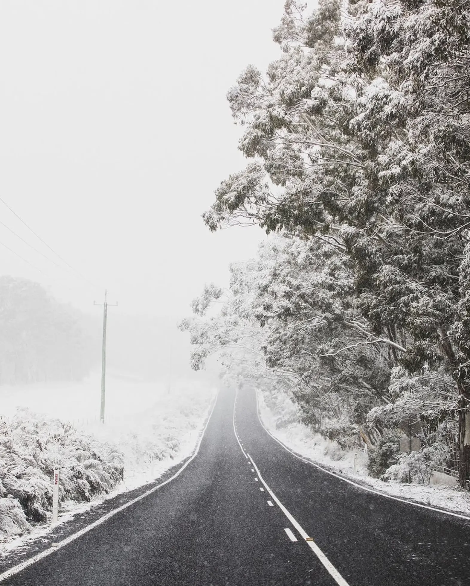 Katoomba Snow