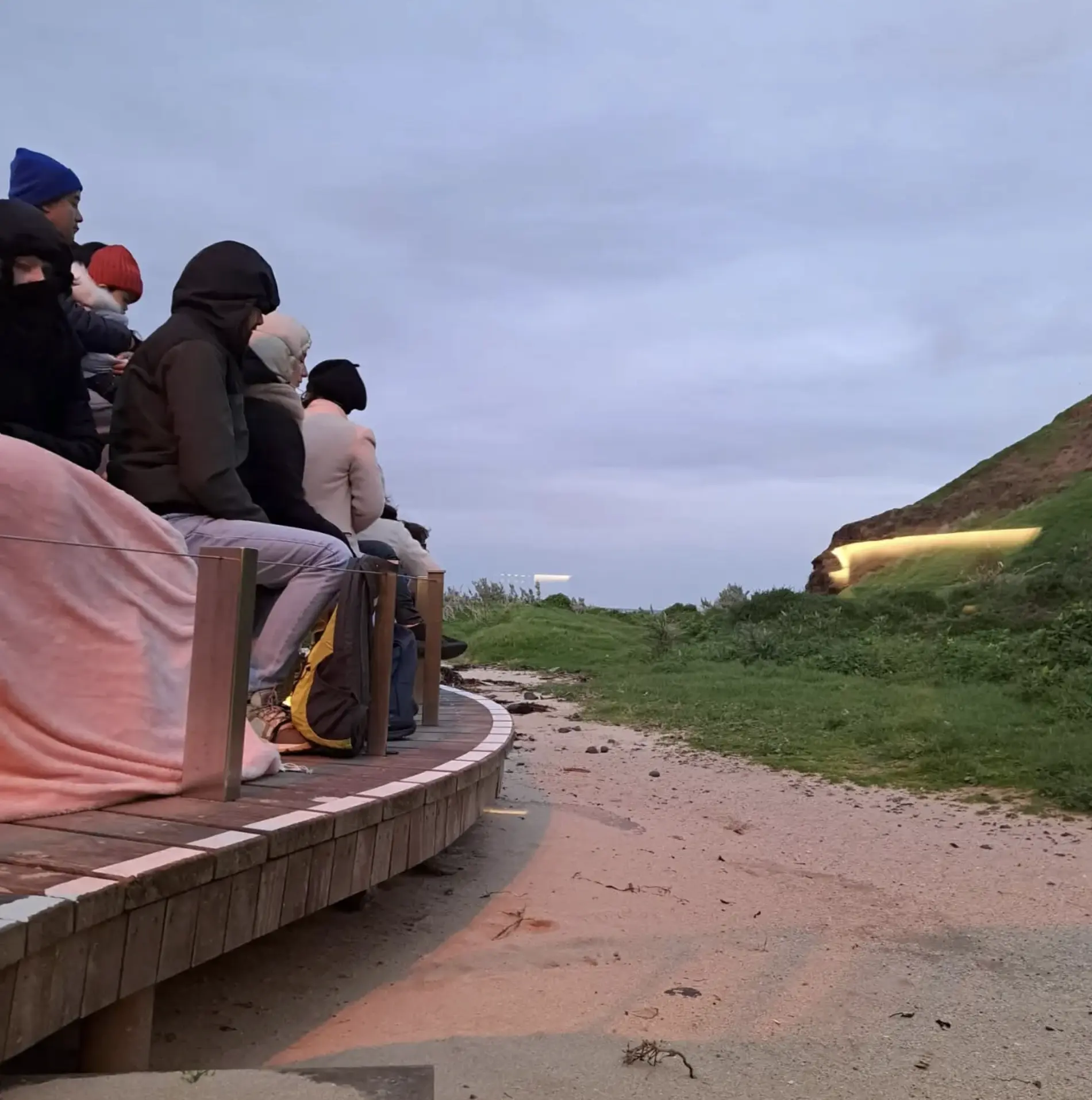 Penguin Parade Australia