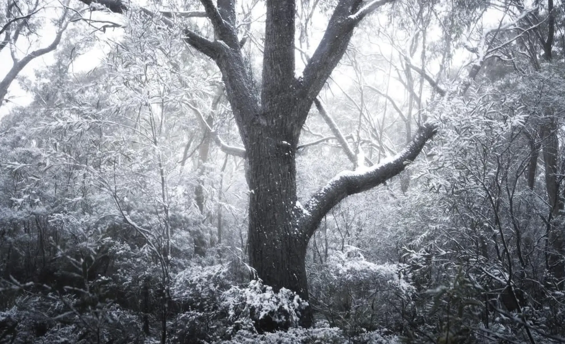 Winter in Australia