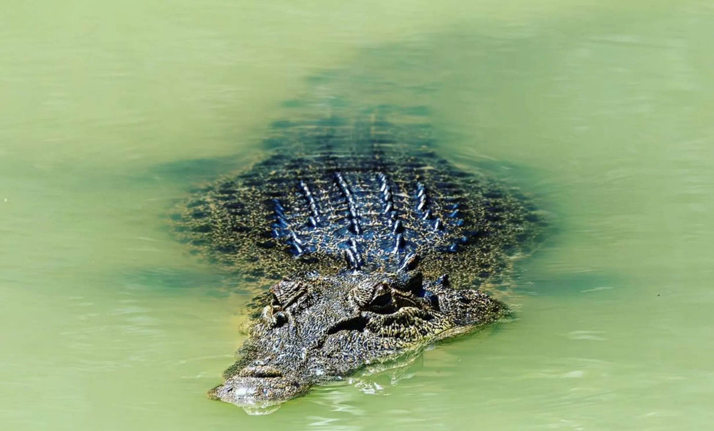 coastal waters, Kakadu