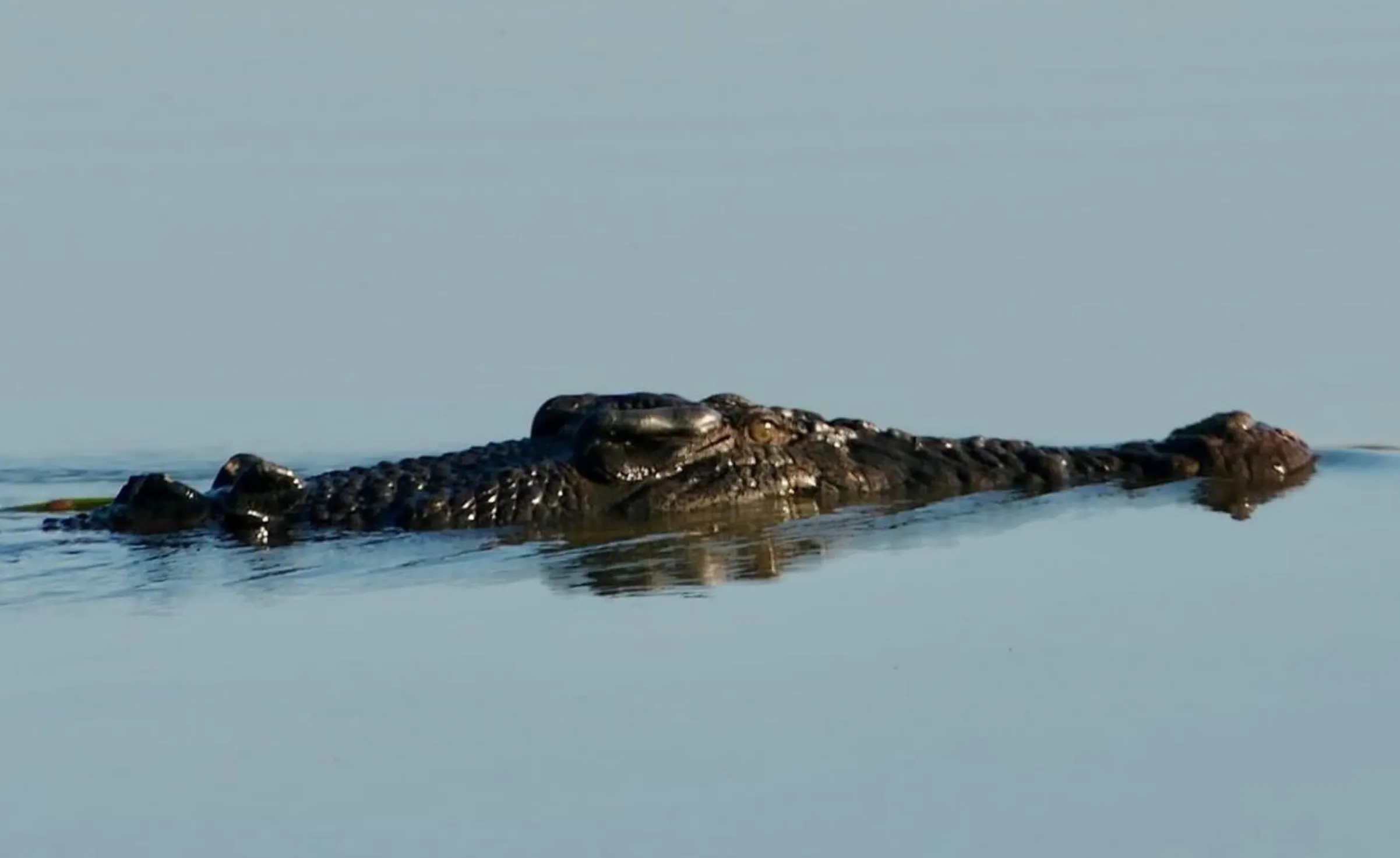 freshwater rivers, Kakadu